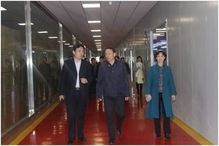 忠旺集团下属公司出现严重经营困难,这家公司到底发生了什么?