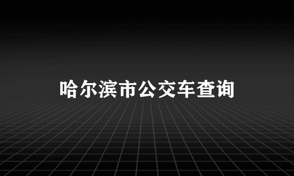 哈尔滨市公交车查询