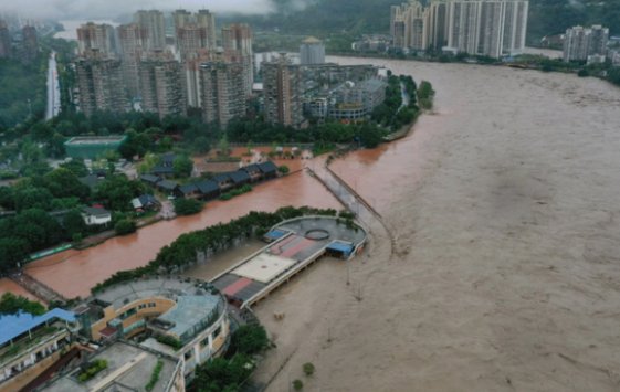 青衣江雅安段现百年一遇洪水对当地有何影响？