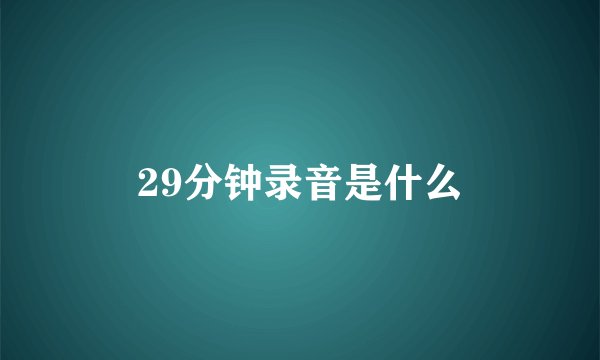 29分钟录音是什么