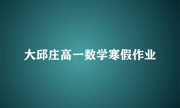 大邱庄高一数学寒假作业