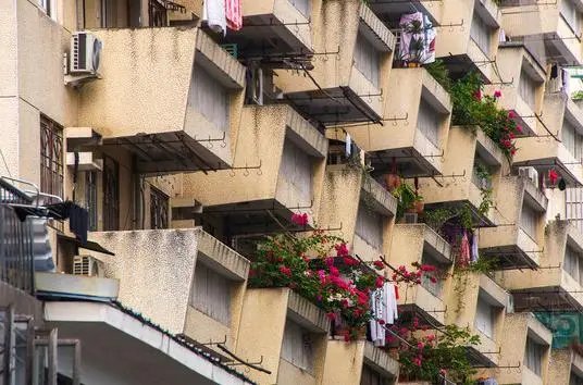 揪心!江苏男子爬出楼房在腰线处浇花失足坠亡,如何避免此类意外?