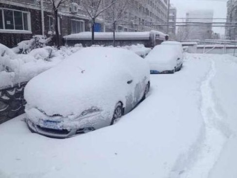 东北出现大范围特大暴雪，当地采取了哪些应对措施？