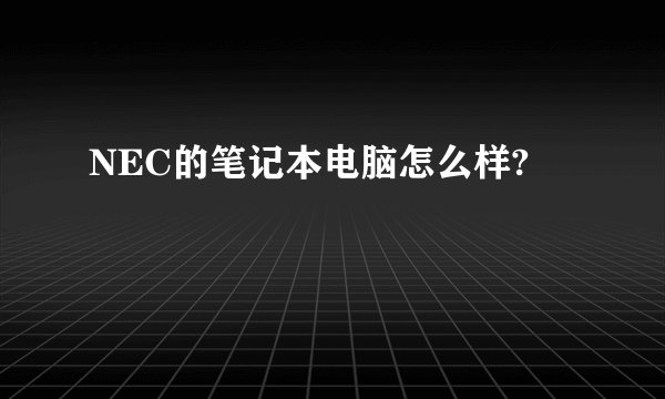 NEC的笔记本电脑怎么样?