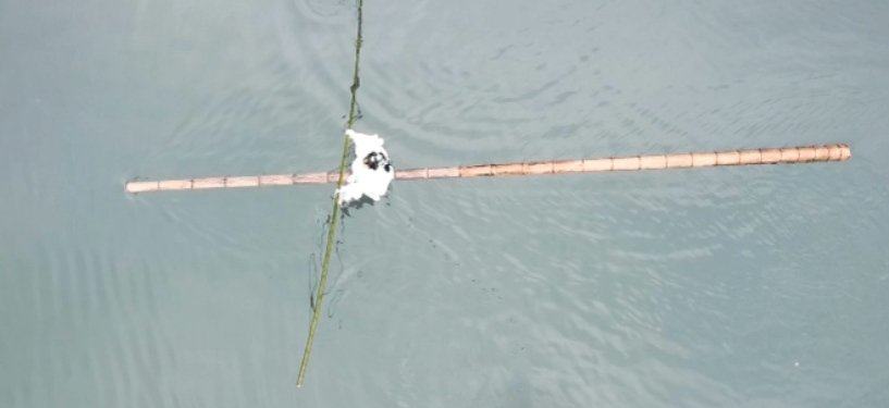 贵州翩若惊鸿,95后女生绝技独竹漂火到国外,她背后有着怎样的事故?