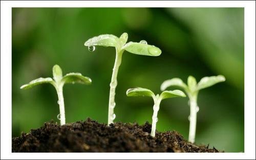 19岁网红脑溢血去世,他的不幸引发了怎样的深思?