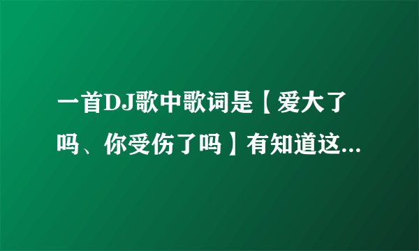 一首DJ歌中歌词是【爱大了吗、你受伤了吗】有知道这什么歌的吗？急！！！