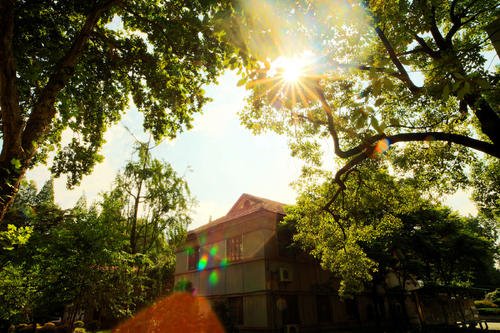 湖北大学老师梁艳萍被停职,错误言论仅仅是停职足够吗?