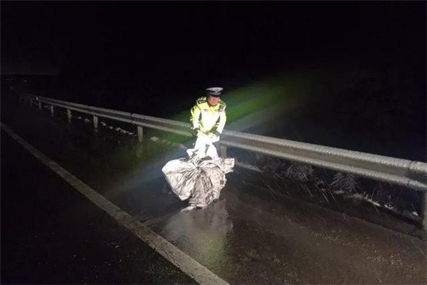 在风雪严寒中有哪些守护者?他们都做出了怎样的贡献?