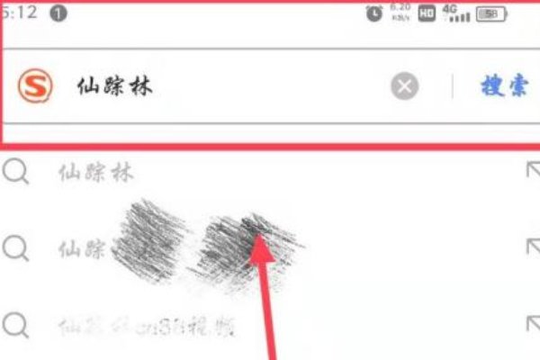 仙踪林视频网站入口怎么进