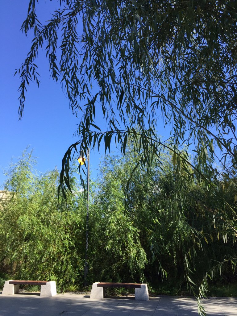 一件衣和一身衣的区别？