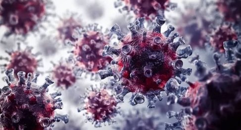 苏州发现新变异株为BA.1.1进化分支,在防控方面需注意什么?