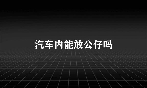 汽车内能放公仔吗