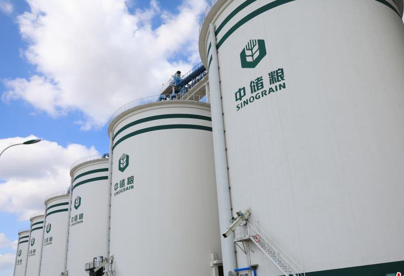 吉林一粮库玉米存在虫眼问题,这是由于什么原因导致的?