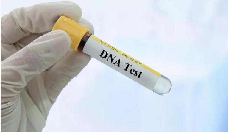 验头发亲子鉴定需要多少钱？