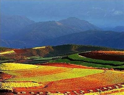 去云南罗平旅游,周边游玩的景点有哪些呢?