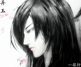 请介绍罗森弄玉的作品