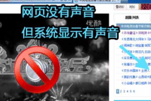 网页上的视频只能听声音,看不了视频!是怎么回事?