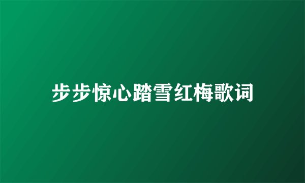 步步惊心踏雪红梅歌词