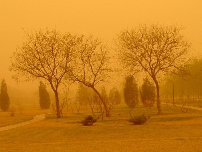 内蒙古阿拉善盟现沙尘暴巨墙，此次沙尘暴会如何影响我国？