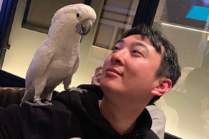 王思聪“手撕”以岭药业，具体情况是怎样的？