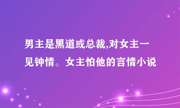 男主是黑道或总裁,对女主一见钟情。女主怕他的言情小说