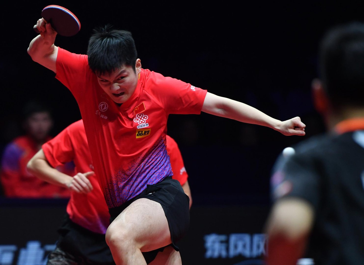 国乒在世乒赛中连战连捷,女单8强占5席,对此你怎么看?