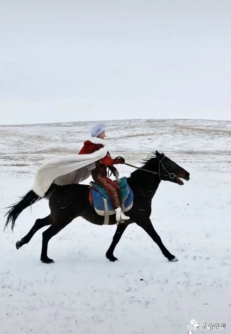 马背上的女县长贺娇龙,她靠什么从直播小白变成直播达人?