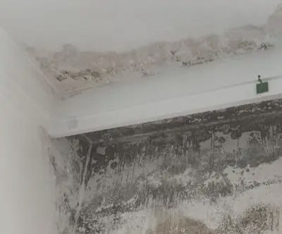 九旬老楼十年“下雨”,上海阿姨哽咽崩溃,到底发生了什么?