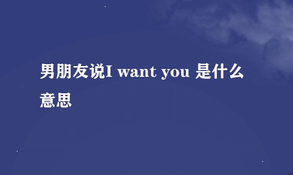 男朋友说I want you 是什么意思