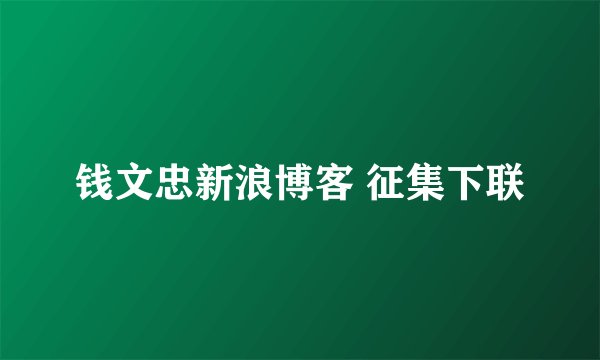 钱文忠新浪博客 征集下联