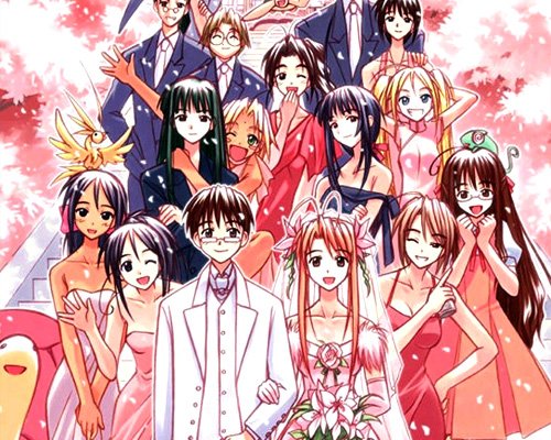 后宫动漫的基本定义是什么?