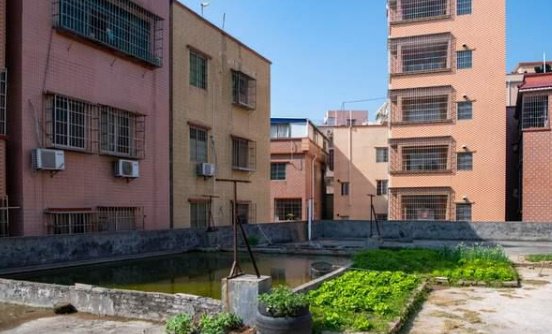 路人被“天降大狗”砸瘫获赔超百万,判决结果执行起来会面临哪些困难?