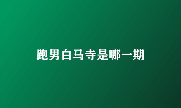 跑男白马寺是哪一期
