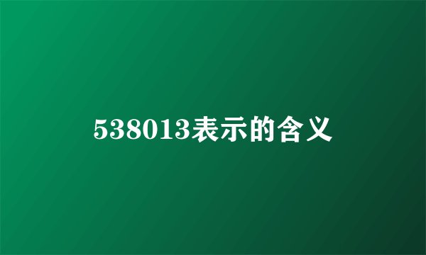 538013表示的含义