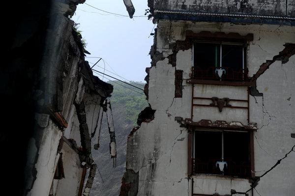 地震遗址嬉笑游客被导游怒怼，对逝者的不尊重是否代表缺乏素质教育？