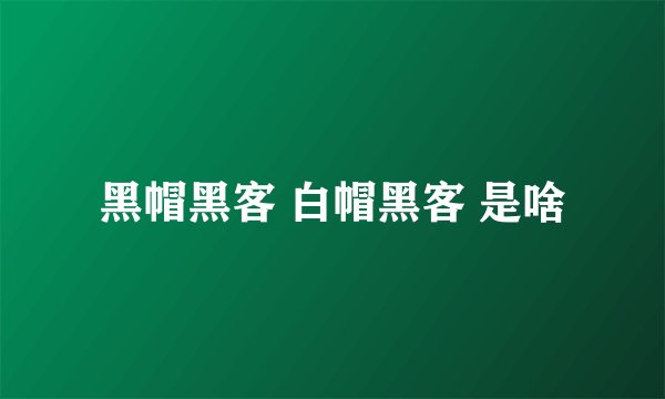 黑帽黑客 白帽黑客 是啥
