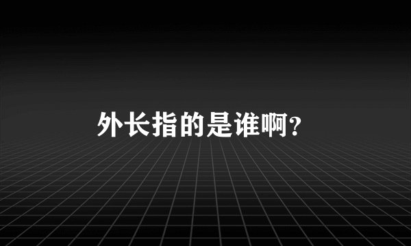 外长指的是谁啊？