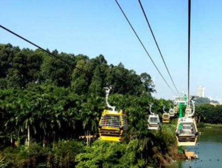 去广州长隆野生动物园的游玩攻略(详细一点，省钱又好玩)