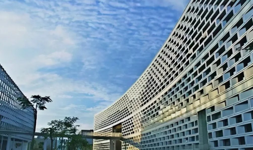 广东省前十名大学