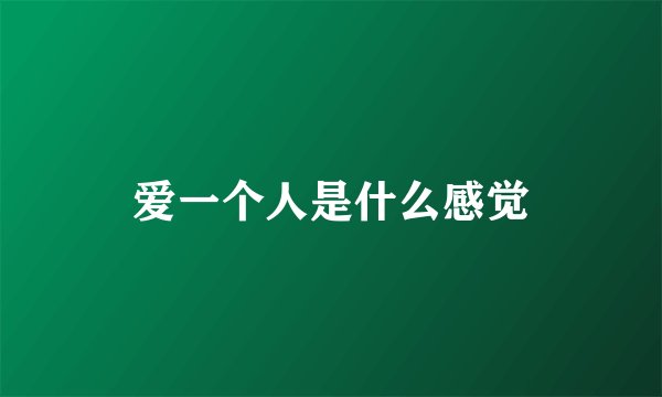 爱一个人是什么感觉