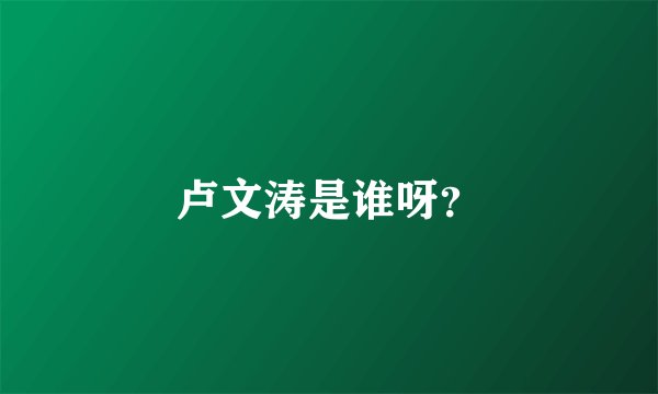 卢文涛是谁呀？