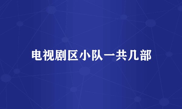 电视剧区小队一共几部