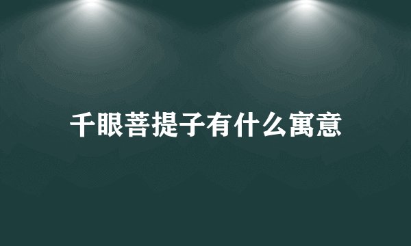 千眼菩提子有什么寓意