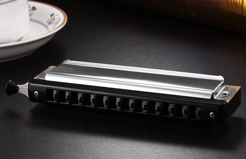 什么是复音口琴?什么是半音阶口琴?