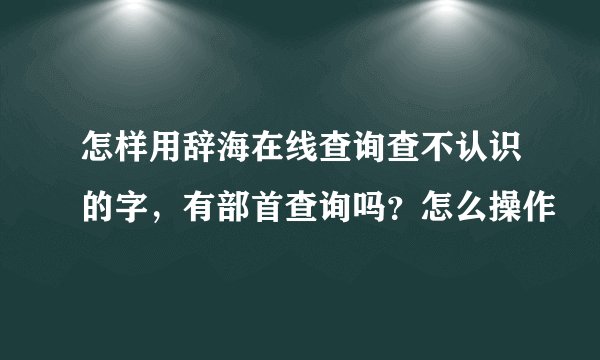 怎样用辞海在线查询查不认识的字，有部首查询吗？怎么操作