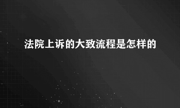 法院上诉的大致流程是怎样的
