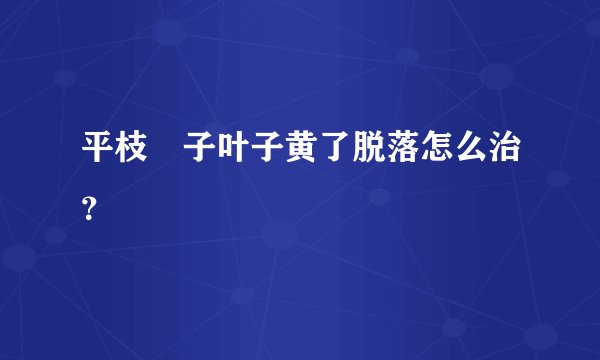 平枝栒子叶子黄了脱落怎么治？