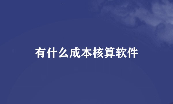 有什么成本核算软件