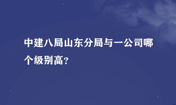 中建八局山东分局与一公司哪个级别高?